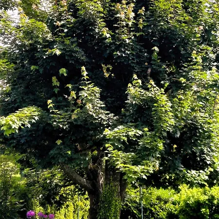 公寓 Gaestewohnung Am Galgenberg